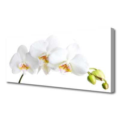 Quadro em tela Flores Planta Natureza