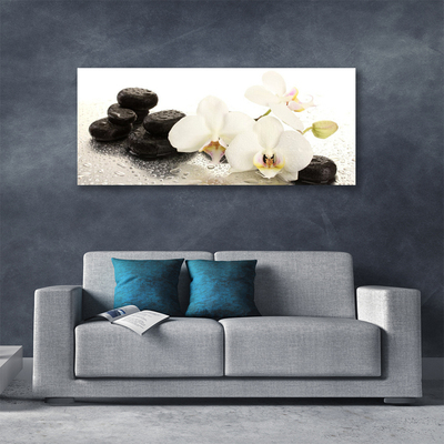 Quadro canvas Planta de pedras de flores