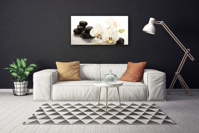 Quadro canvas Planta de pedras de flores