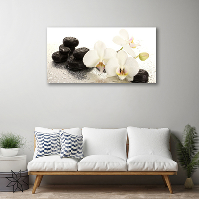 Quadro canvas Planta de pedras de flores