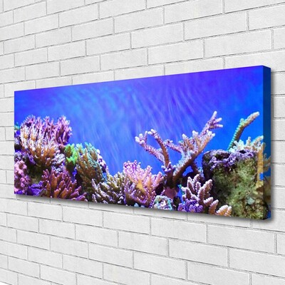 Quadro canvas Natureza dos recifes de corais