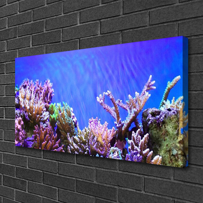 Quadro canvas Natureza dos recifes de corais