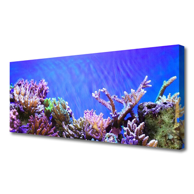 Quadro canvas Natureza dos recifes de corais