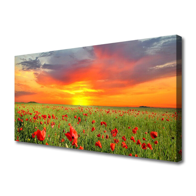 Quadro em tela Papoulas Sol Planta Natureza