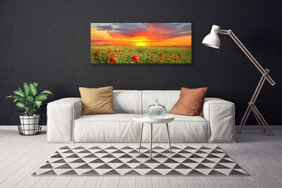 Quadro em tela Papoulas Sol Planta Natureza