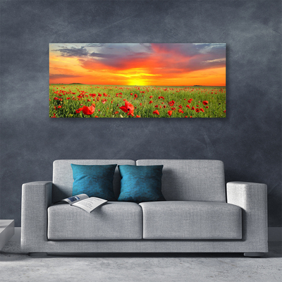 Quadro em tela Papoulas Sol Planta Natureza