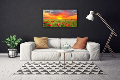 Quadro em tela Papoulas Sol Planta Natureza
