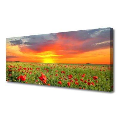 Quadro em tela Papoulas Sol Planta Natureza