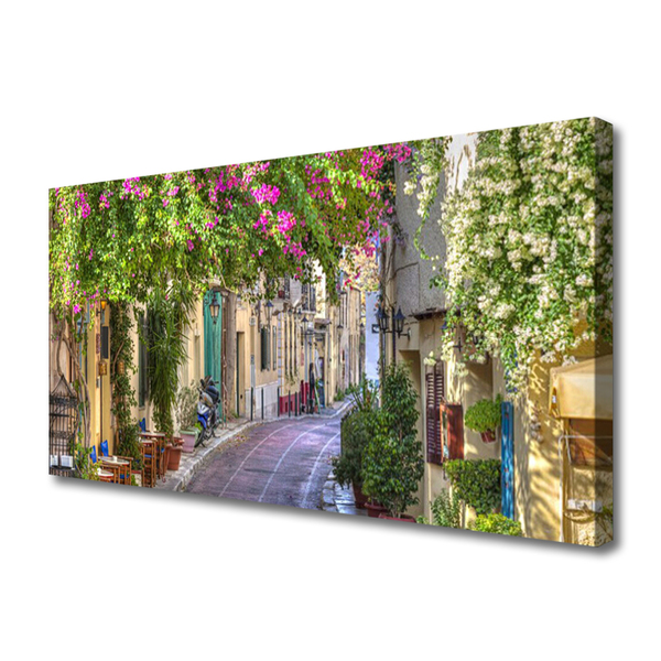 Quadro canvas Beco Flores Casas Planta