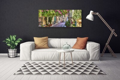 Quadro canvas Beco Flores Casas Planta