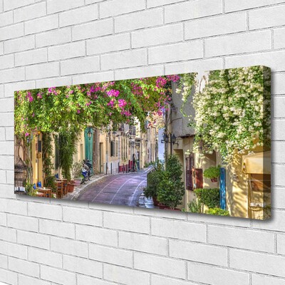 Quadro canvas Beco Flores Casas Planta