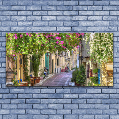 Quadro canvas Beco Flores Casas Planta