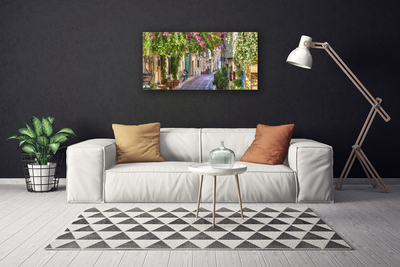 Quadro canvas Beco Flores Casas Planta
