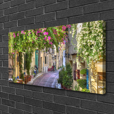 Quadro canvas Beco Flores Casas Planta
