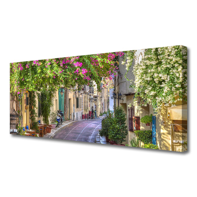 Quadro canvas Beco Flores Casas Planta