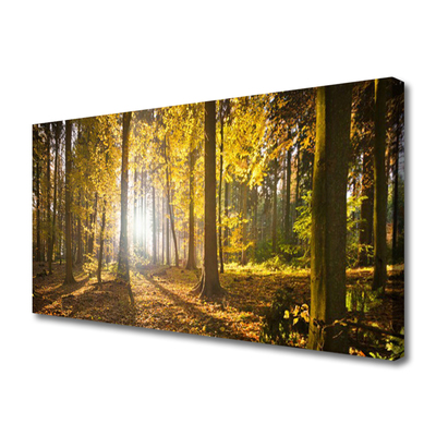 Quadro em tela Folhas da Floresta Planta Natureza