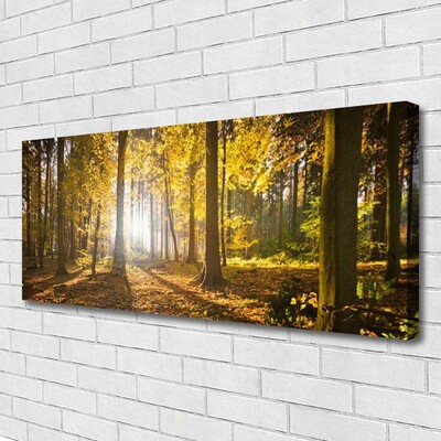 Quadro em tela Folhas da Floresta Planta Natureza