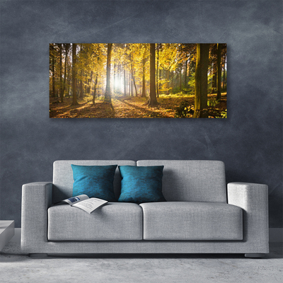 Quadro em tela Folhas da Floresta Planta Natureza