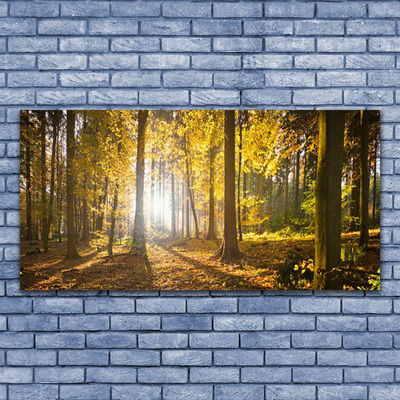 Quadro em tela Folhas da Floresta Planta Natureza