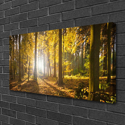 Quadro em tela Folhas da Floresta Planta Natureza