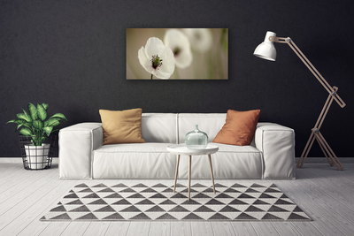 Quadro em tela Flor Planta Natureza