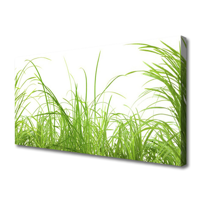 Quadro canvas Natureza da planta grama