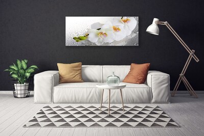Quadro canvas Flores Planta Natureza