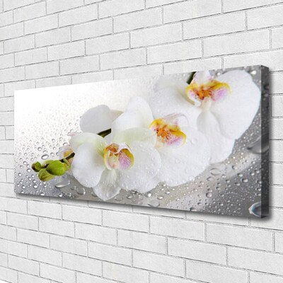 Quadro canvas Flores Planta Natureza