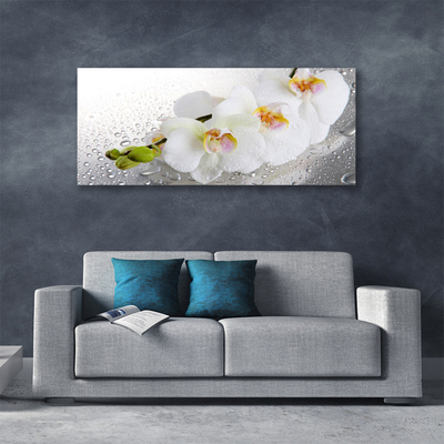 Quadro canvas Flores Planta Natureza