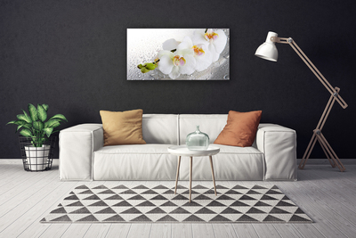 Quadro canvas Flores Planta Natureza