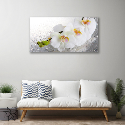 Quadro canvas Flores Planta Natureza
