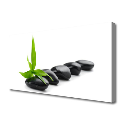 Quadro canvas Arte com Folhas e Pedras