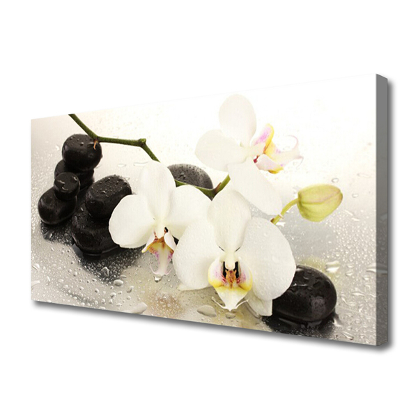 Quadro canvas Linda flor de orquídea