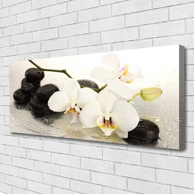Quadro canvas Linda flor de orquídea
