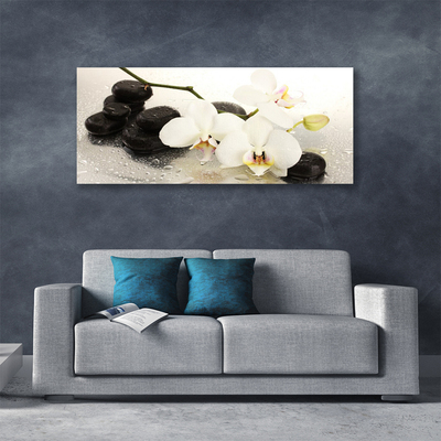 Quadro canvas Linda flor de orquídea