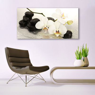 Quadro canvas Linda flor de orquídea