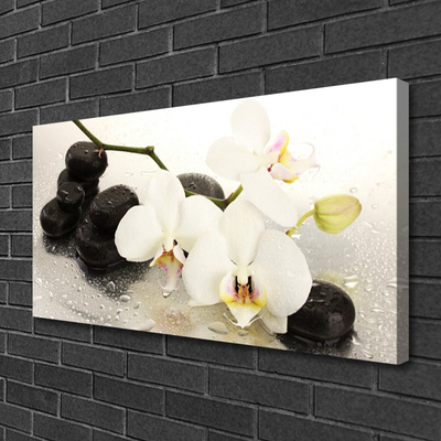 Quadro canvas Linda flor de orquídea