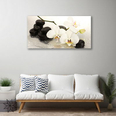 Quadro canvas Linda flor de orquídea