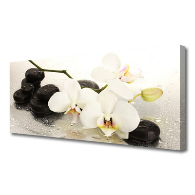 Quadro canvas Linda flor de orquídea