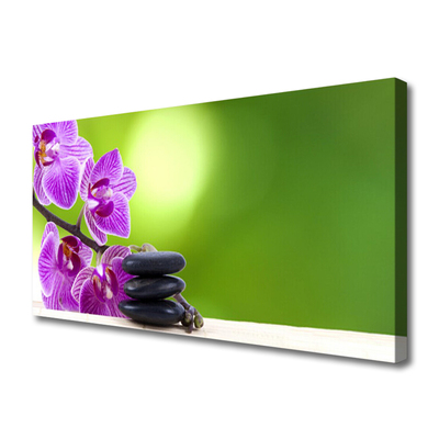 Quadro canvas Orquídeas Flores Verdes