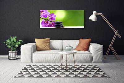 Quadro canvas Orquídeas Flores Verdes