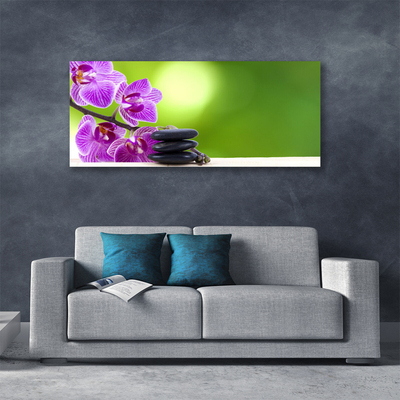 Quadro canvas Orquídeas Flores Verdes