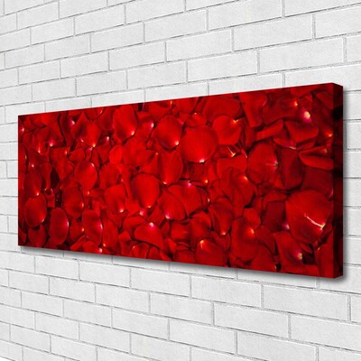 Quadro canvas Pétalas Planta Natureza