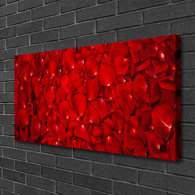 Quadro canvas Pétalas Planta Natureza