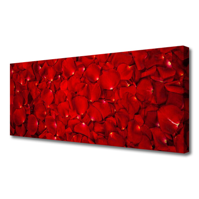 Quadro canvas Pétalas Planta Natureza