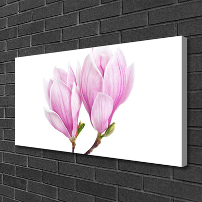Quadro em tela Flor Planta Natureza