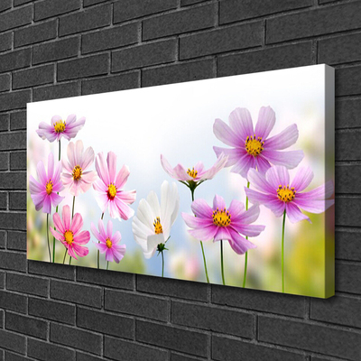 Quadro em tela Flores Planta Natureza