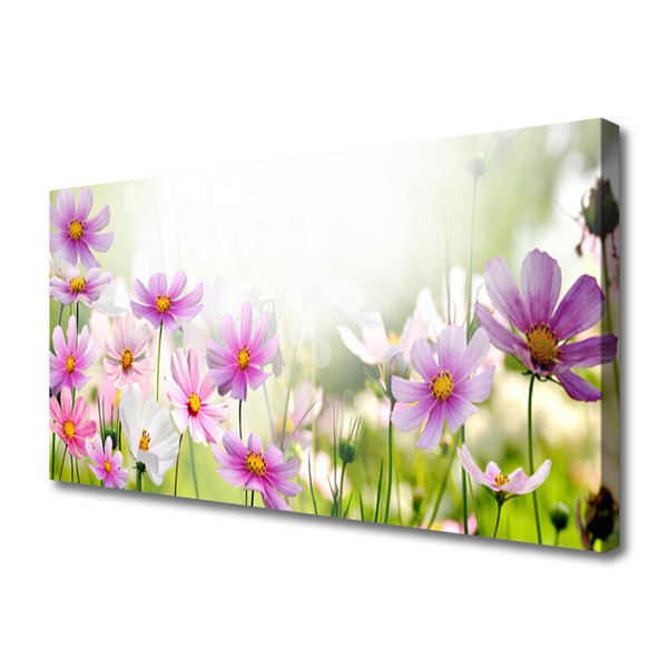 Quadro canvas Flores Planta Natureza