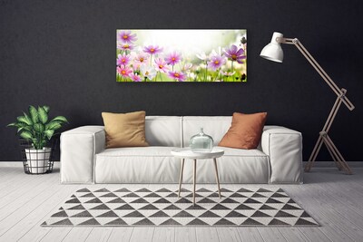 Quadro canvas Flores Planta Natureza