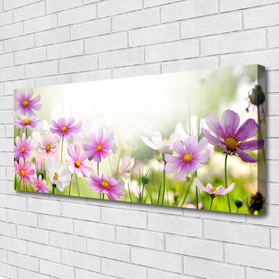 Quadro canvas Flores Planta Natureza